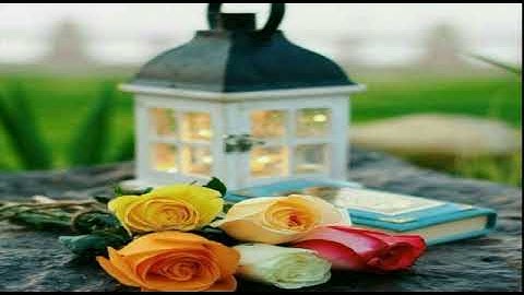 اواخر سورة الفرقان: عبدالرحمن الحميداني