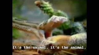 The cranberries-animal instinct [built-in lyric]