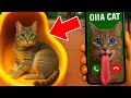 OIIAOIIA CAT is Calling Mr.Leo and Ms.Lili!! Funny Pipe went BERSERK! 😰🚷