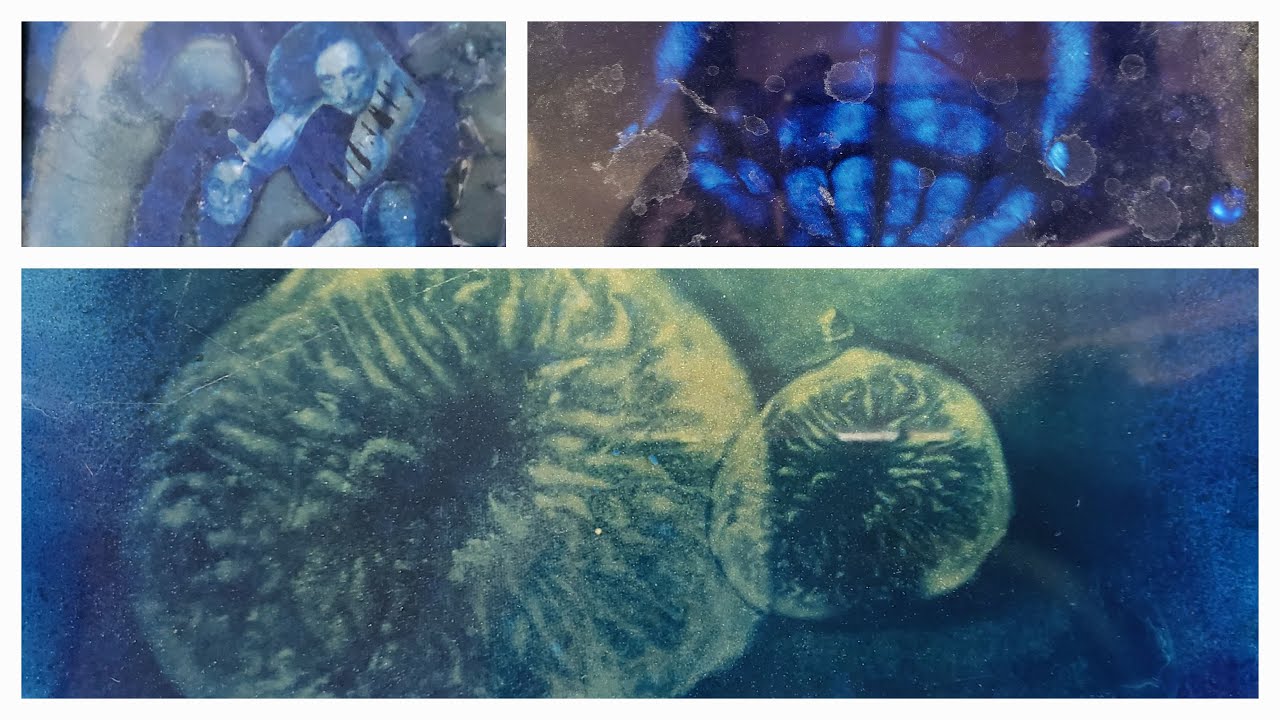 Kyanotypie na skle 2 - Cyanotype on glass 2 