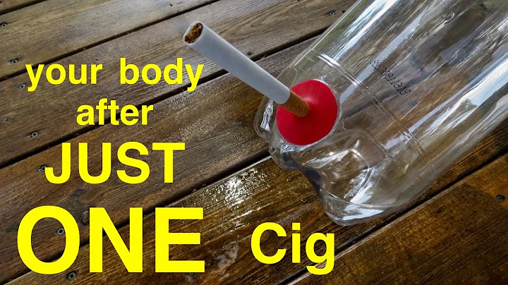 How Smoking Just 1 CIGARETTE Affects Your Lungs ●  You Must See This ! - DayDayNews