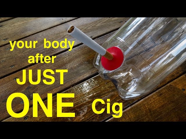 what happens after you smoke your first cigarette How Smoking Just 1 CIGARETTE Affects Your Lungs ○ You Must See This !