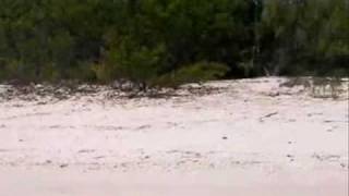 Nouvelle Calédonie - Ilot Uatio.wmv