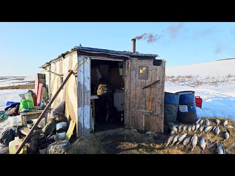 Видео: Миллионы гусей падают с неба. Жизнь и охота в тундре! Часть 2