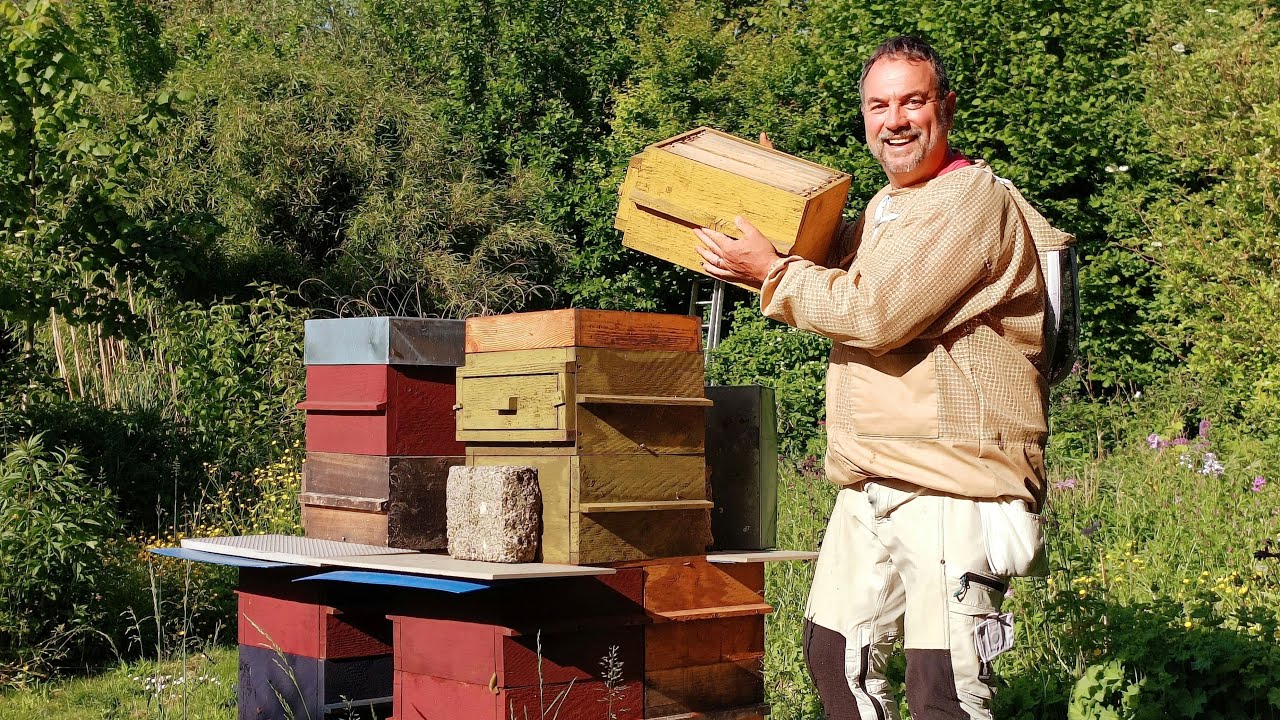 Maximisez vos rendements apicoles : Les biruches, l'arme secrète des apiculteurs - Apiculture S03E08