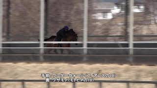 ワンダーウォール（フィアレスの18）20200327