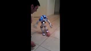 NAO Robot soccer trick