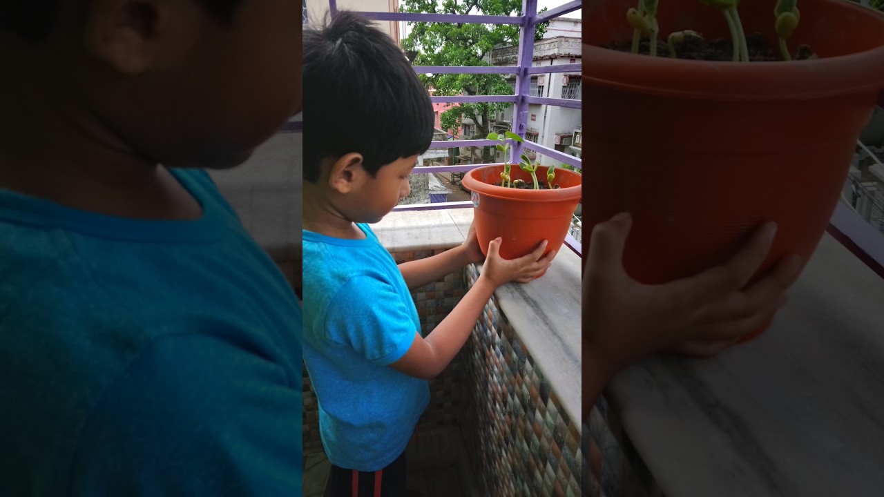 Super Gardening 🤩 || 