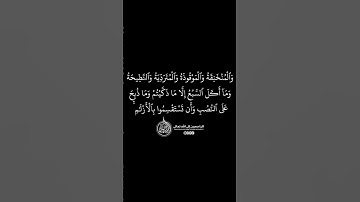 ماهر المعيقلي - سورة المائدة ( برواية حفص عن عاصم ) الأية 3