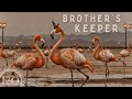 Brother’s Keeper | Hypnotic Grooves for Inner Journeys