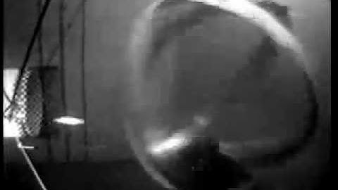 Kinetic Turbine with Fish Protection Technology