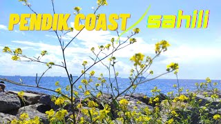 Pendik Coast Pendik Sahili Istanbul Turkey