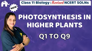 Celebrity Photosynthesis in Higher Plants Class 11 Biology | Revised NCERT Solutions Chapter 11 Questions 1-9 Profile