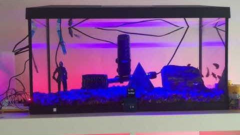 IoT Project ( Smart Aquarium)