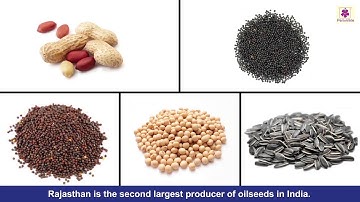 Food | Social Studies Grade 3 | Periwinkle