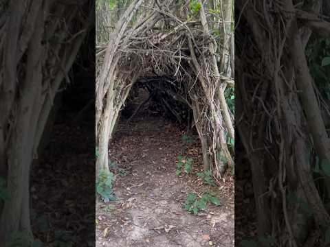 Really mysterious tunnel #shorts #england