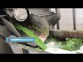 Линия переработки зеленого горошка / ООО «Кубаньпищепром»