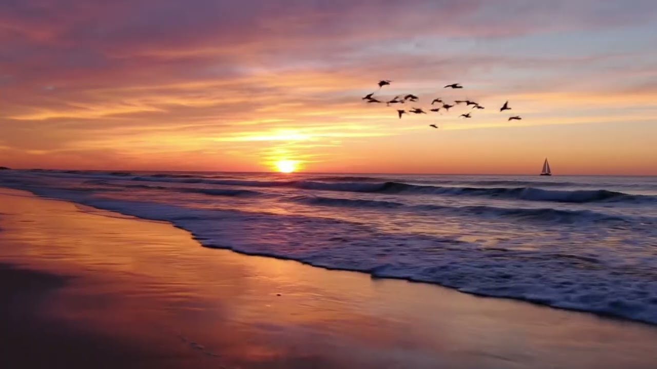 Love by the Reef - even when it’s over (Official Audio)