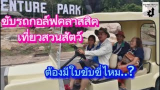 ขับรถกอล์ฟเที่ยวสวนสัตว์ ต้องมีใบขับขี่ด้วยหรือ..? screenshot 3