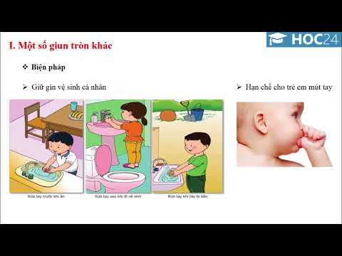 Video Bài 14: Một số giun tròn khác và đặc điểm chung của... - YouTube