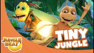 Tiny Jungle - Jungle Beat Compilation [Full Episodes]