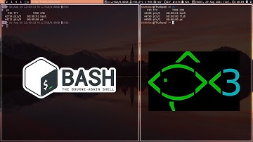 Add FISH/ZSH Functions in BASH