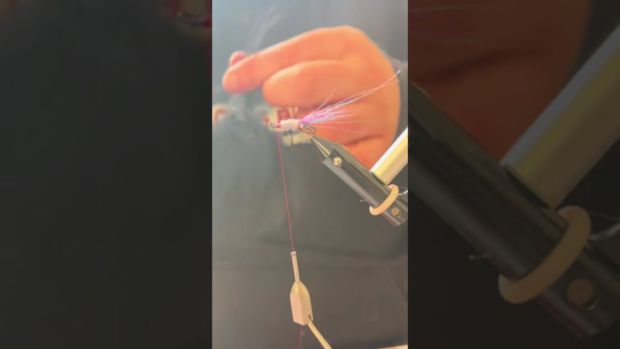 Freestyle Seatrout Double based off the Wilkinson Shrimp Colours 