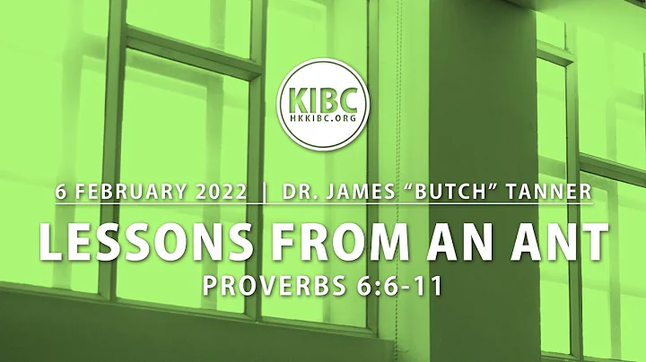 "Lessons From an Ant" (Proverbs 6:6-11) 6th February 2022