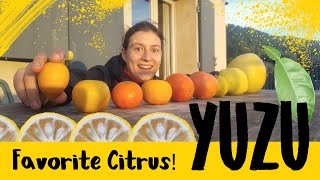 YUZU: Cold Resistant Citrus (+bonus)