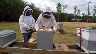 2018 Rotating Brood Boxes