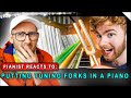 I put 88 tuning forks on my piano  pianist reacts