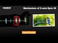 5 axis Sync Image Stabilization