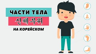 видео: Части тела на корейском языке картинка: Части тела на корейском языке