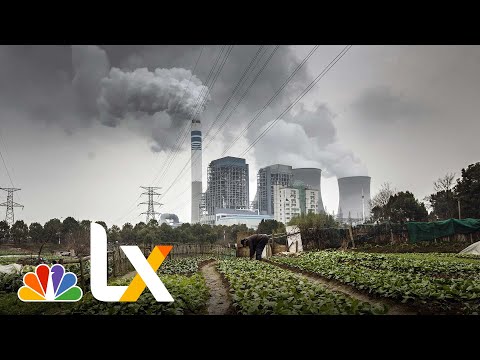 Six Steps We Can Take to Fight Climate Change | NBCLX