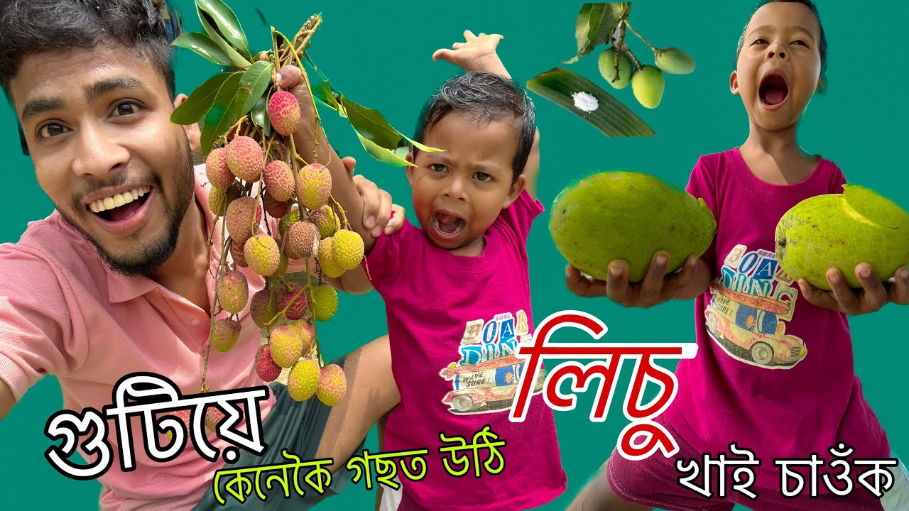 লিচু গছত উঠোতে আজি কি হ'ল চাওঁক 🌳🫣|| LESU Assames Vlog ..