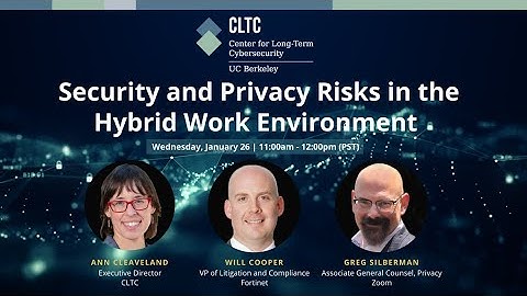 Security and Privacy Risks in the Hybrid Work Environment