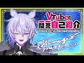 【🦋紡生ムルク💉新人Vtuber】Vtuber一問一答自己紹介【Vtuber Q&A self introduction】