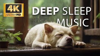 Relaxing Sleep Music + Insomnia  Stress Relief, Relaxing Music, Deep Sleeping Music