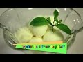 Tejszínes citromfagylalt - konyhatévés felvétel (2013) - Az én alapszakácskönyvem