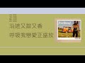 何韻詩 HOCC Shampoo 歌詞同步 粵拼字幕 Jyutping Lyrics