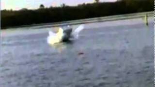 Helicopter Test
