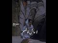 لا عاش قاتلهم ولا دامت له يوم ا أنامل
