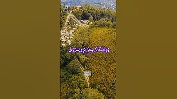 قران كريم تلاه خاشعه بصوت جميل ماشاءالله  #shorth #shortvideo#الشيخ_نواف_الاحمد_الصباح