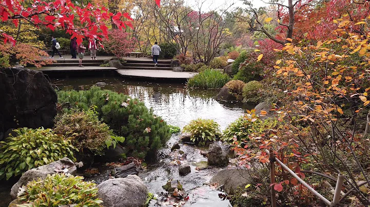 A Tour of Anderson Japanese Gardens in Rockford Il...