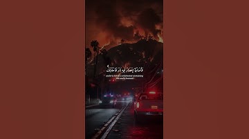 اكتشف نعمة السكينة والهدوء من خلال تلاوة القرآن الكريم  #القرآن_الكريم  #المصحف