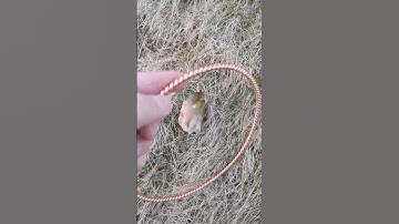 Royal Cubit Twisted Copper and Natural Lemurian Citrine Cluster #shorts