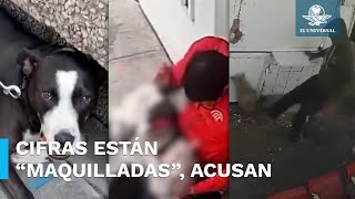 Sin freno, maltrato animal en el Edomex