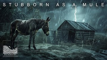 Stubborn as a Mule | Scripture Simplified: A  KG Ministry Bible Study