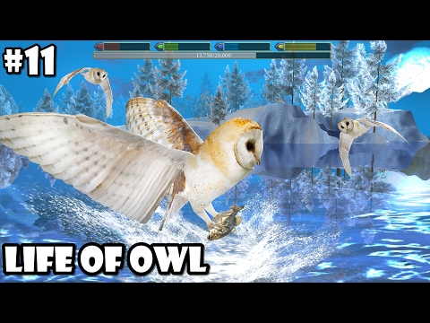 Ultimate Bird Simulator - Life of Owl - Android/iOS - Gameplay Part 11