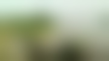 Dozens killed in rebel attack on Uganda school